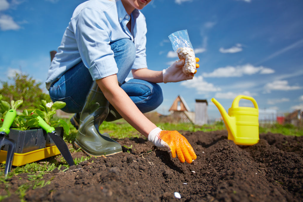 How to use worm Castings, planting with worm castings, how do you put worm castings in soil, how often should I use worm castings, how to add worm castings, how to use worm castings in the garden