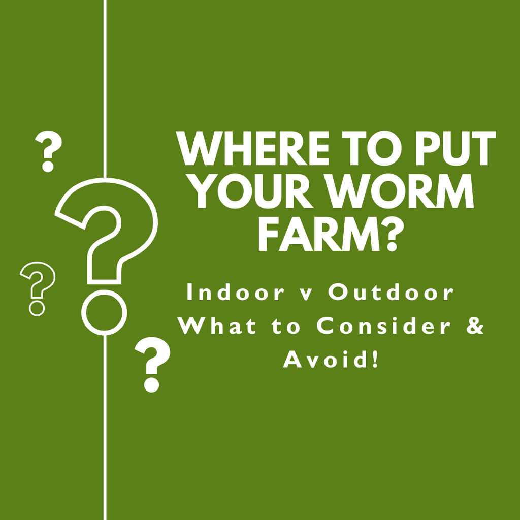 Where to put a worm farm, Where to place a worm farm, Where to put worm compost bin, Where to put worms, Where to put worm bin, Where is the best place to put a worm farm, Where to put a worm farm outside