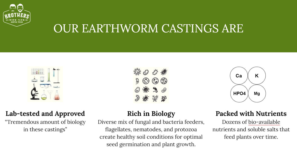 worm castings overview, worm castings info