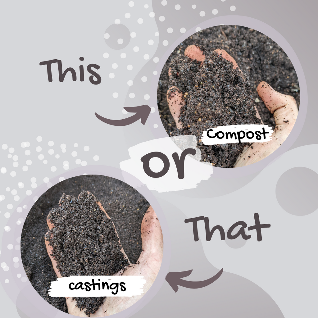 Worm Castings vs Compost, Compost vs Worm Castings, are worm castings compost
