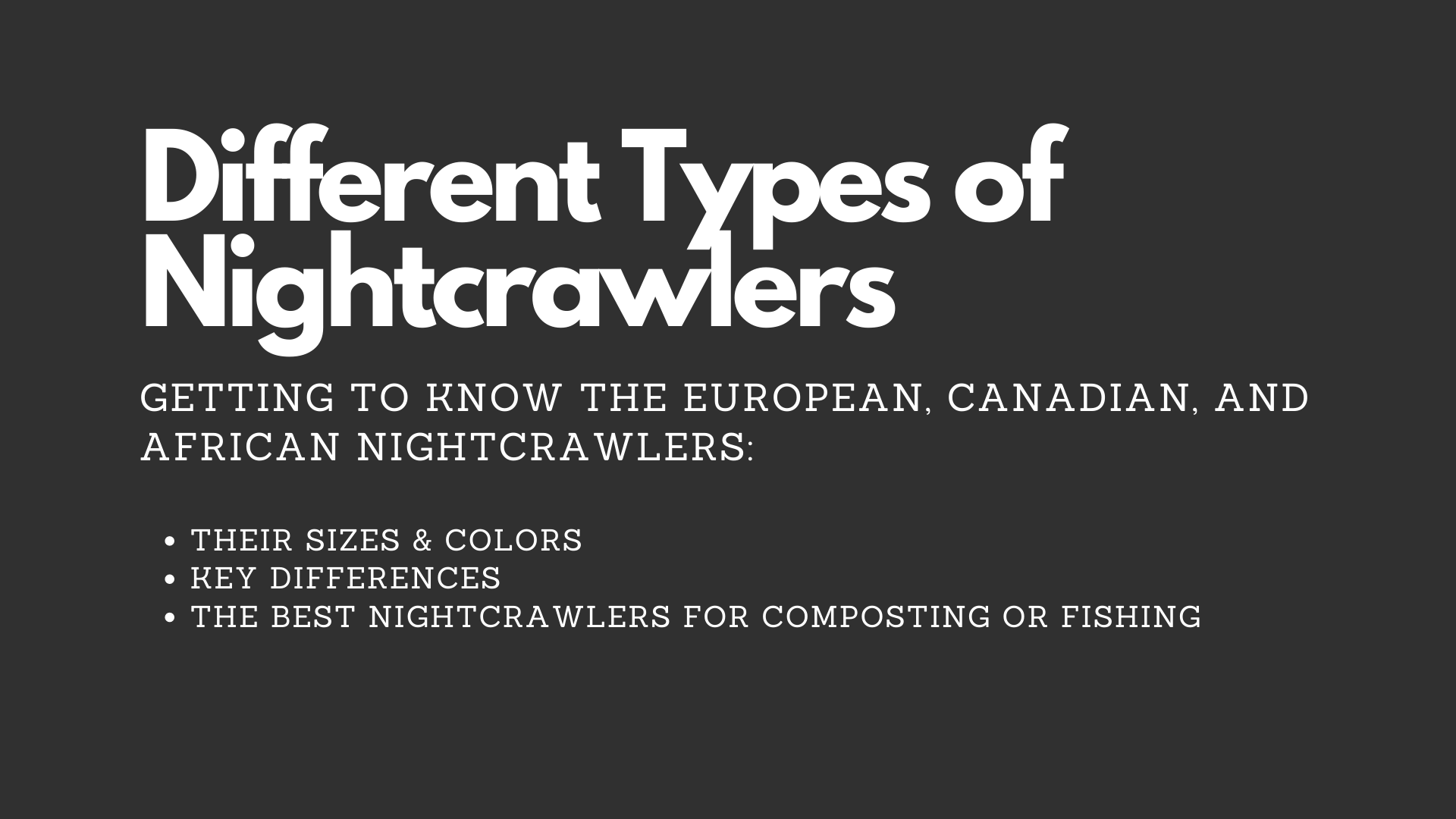 Canadian, African, and European Nightcrawlers: Get to Know the