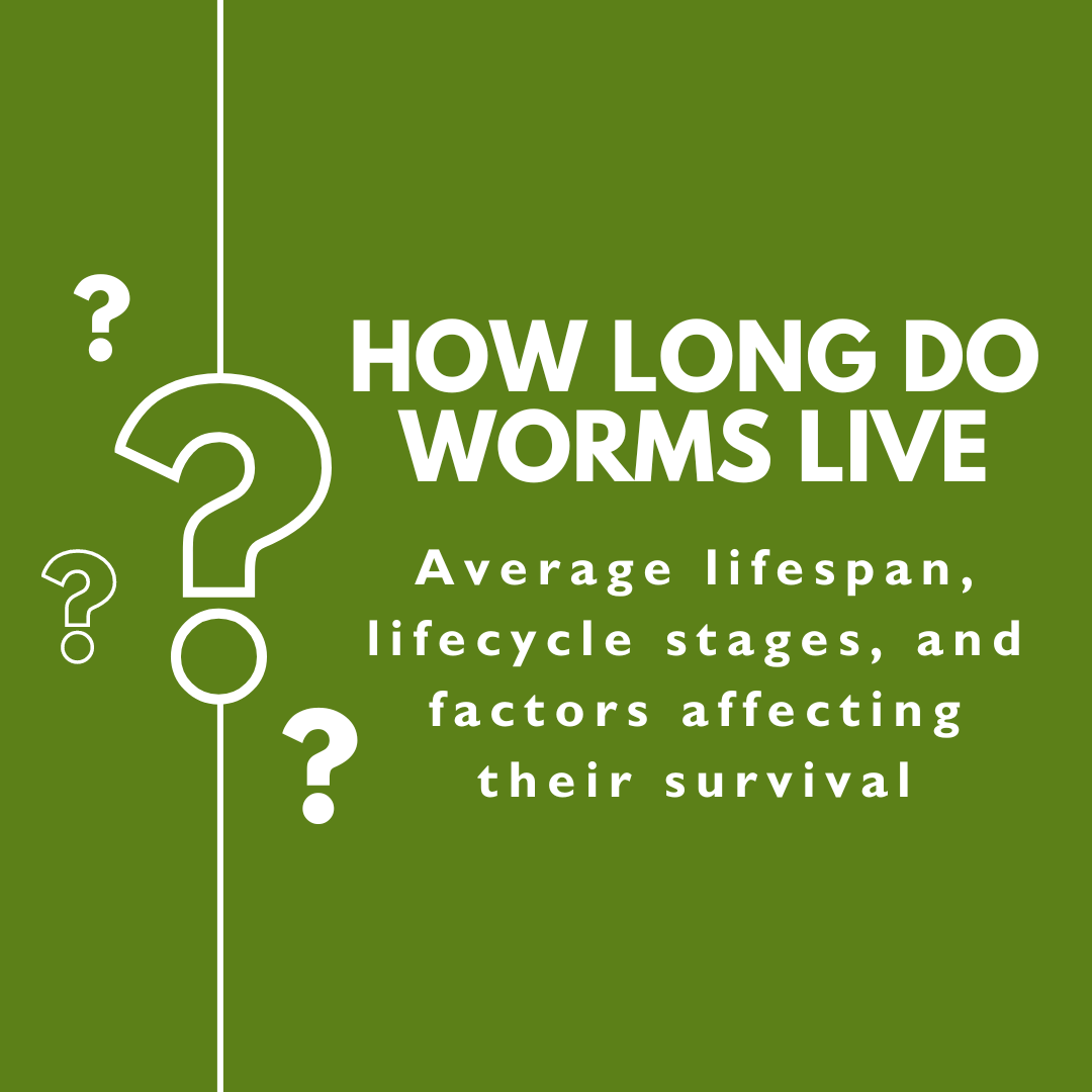 How Long Do Worms Live? The Surprising Lifespan of Earthworms 