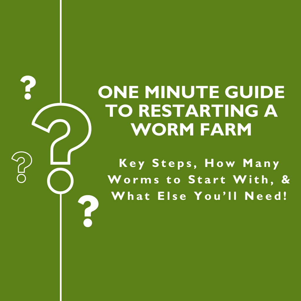 restarting a worm farm, how to revive a worm farm, how to restart a worm bin