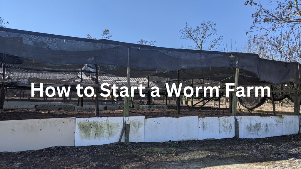 How to Start a Worm Farm Business