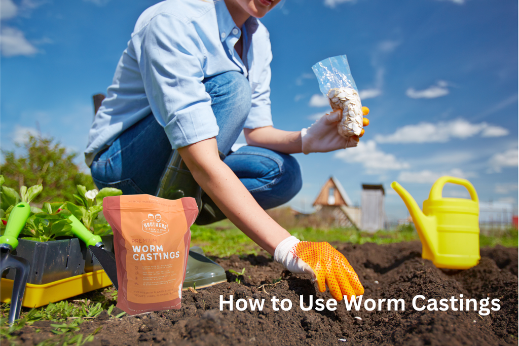 How to use worm castings, guide to using worm castings, what are worm castings