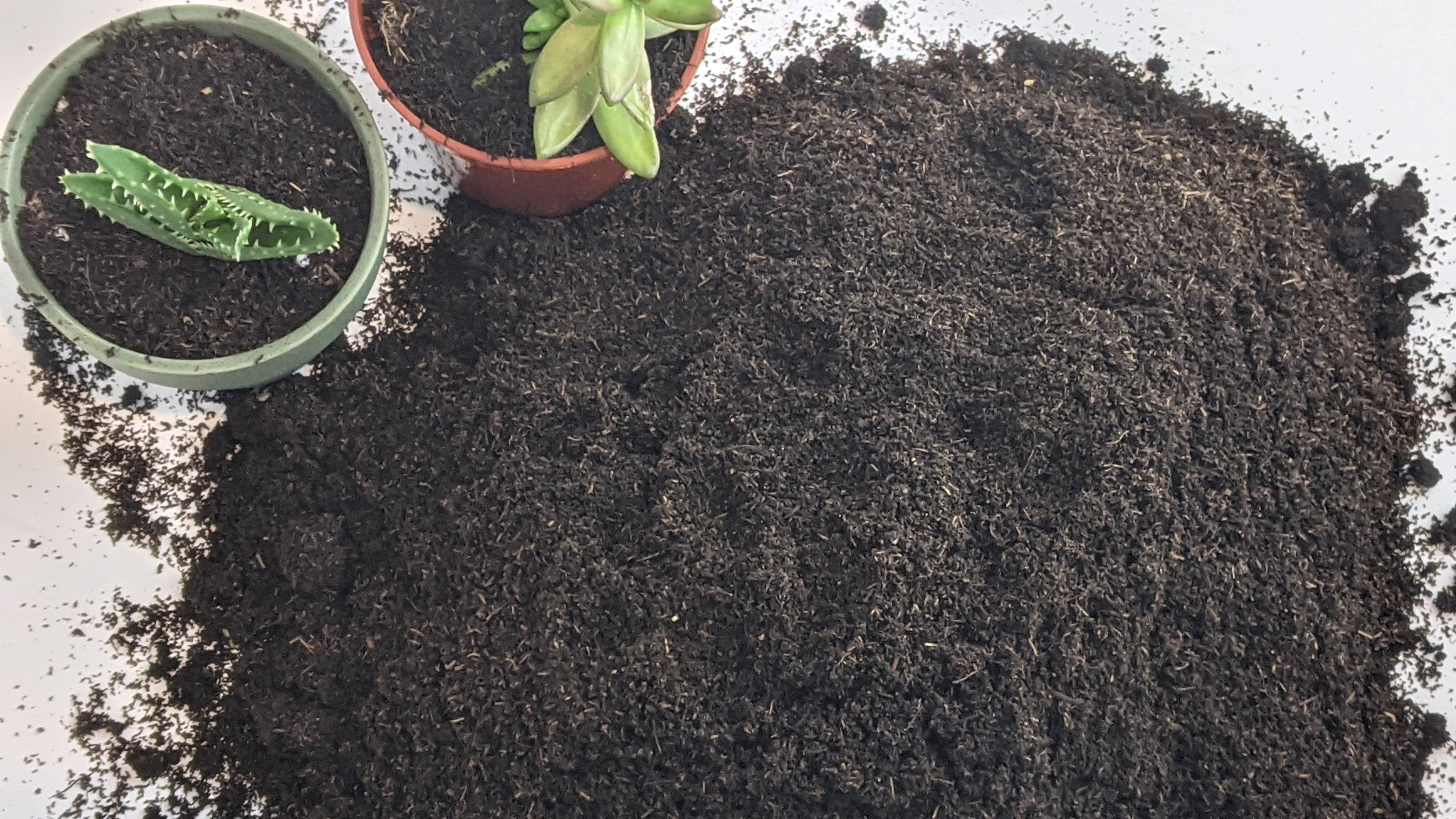 worm castings for pothos Worm Castings for Sale