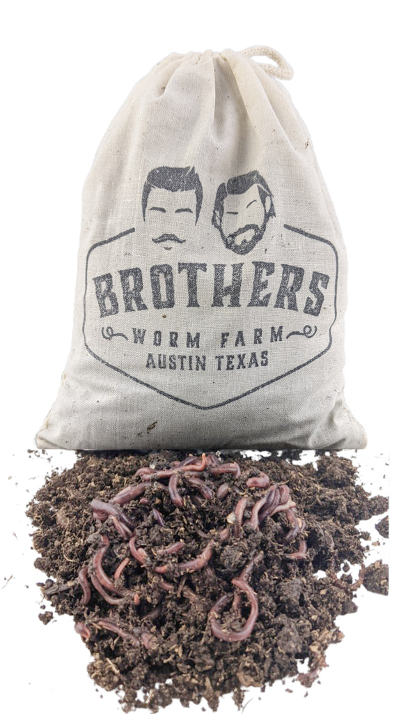 compost worms, red wigglers, bag of compost worms, brothers worm farm compost worms