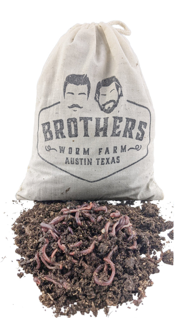 Red Wigglers & Compost Worms for Sale Buy Red Worms Online Brothers